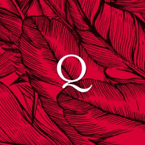 Q Feather Square